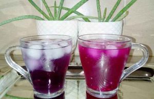شربت گل ختمی