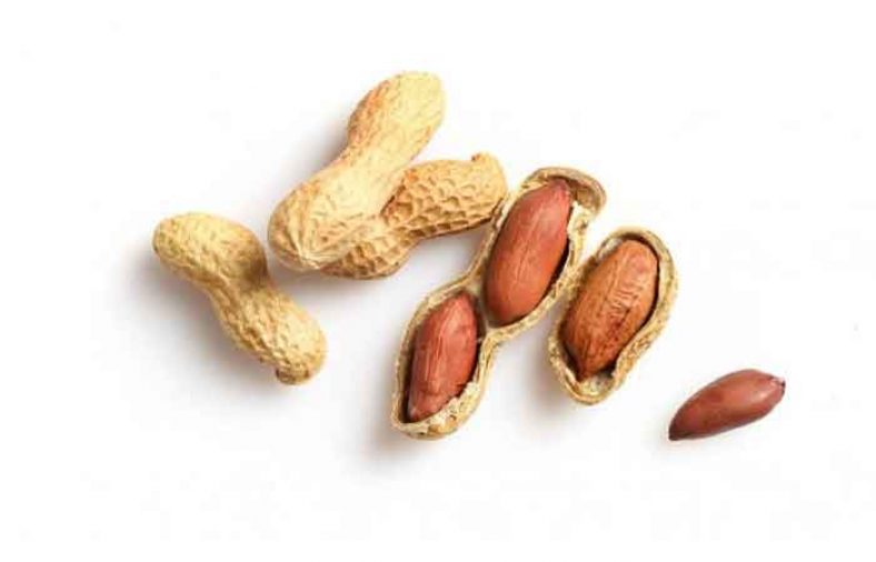 خواص بادام زمینی