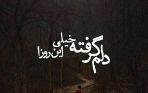 عکس نوشته دلم گرفته