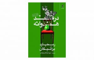 رمان در قند هندوانه