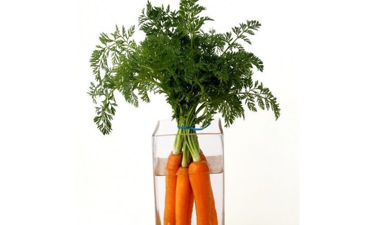 سبزه هویج برای عید نوروز