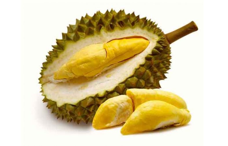 خواص میوه دوریان