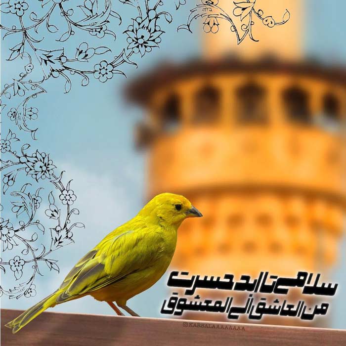 عکس حرم امام حسین با نوشته برای پروفایل