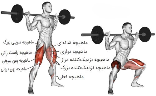 حرکت اسکات هالتر پا باز