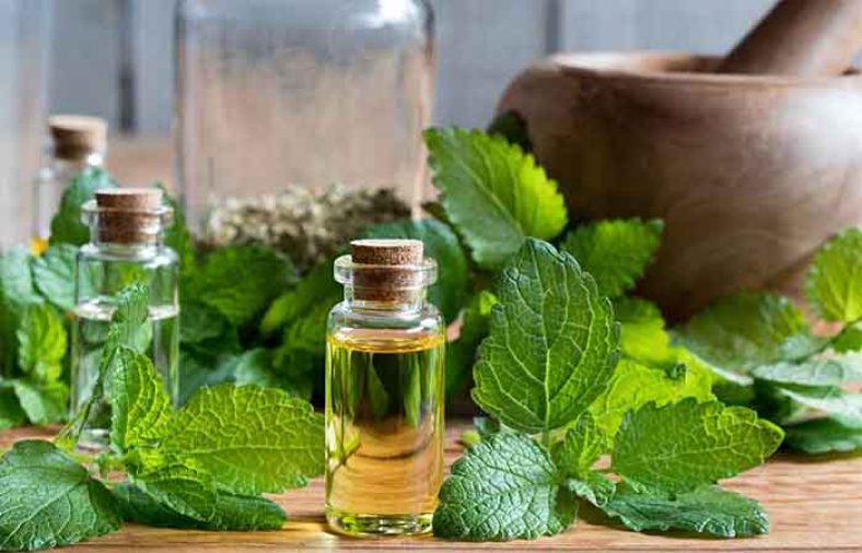 خواص روغن براهمی