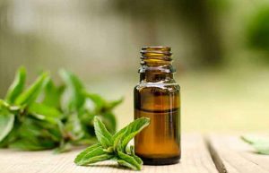 خواص روغن نعناع