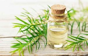 خواص روغن درخت چای برای پوست