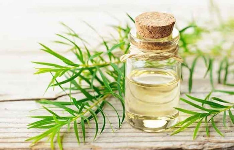 خواص روغن درخت چای برای پوست