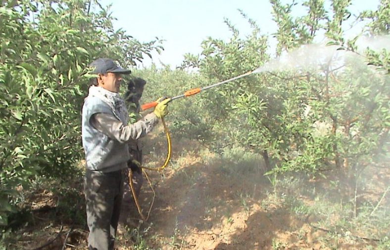سمپاشی مرکبات