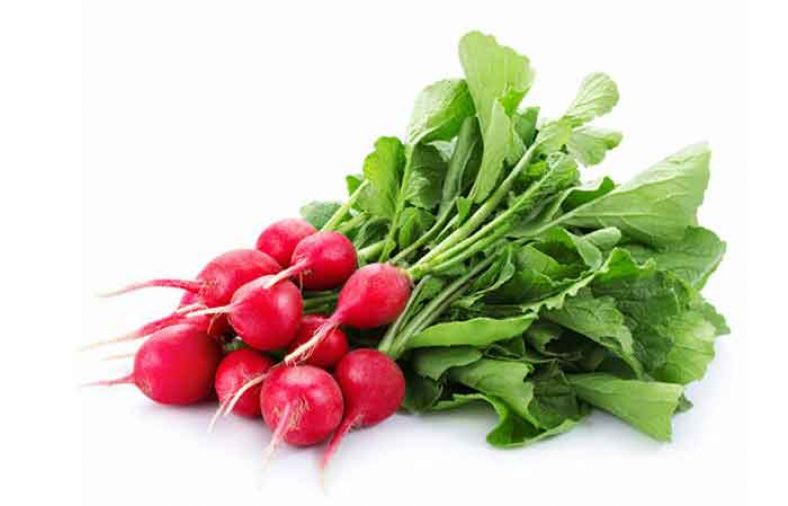 خواص برگ تربچه