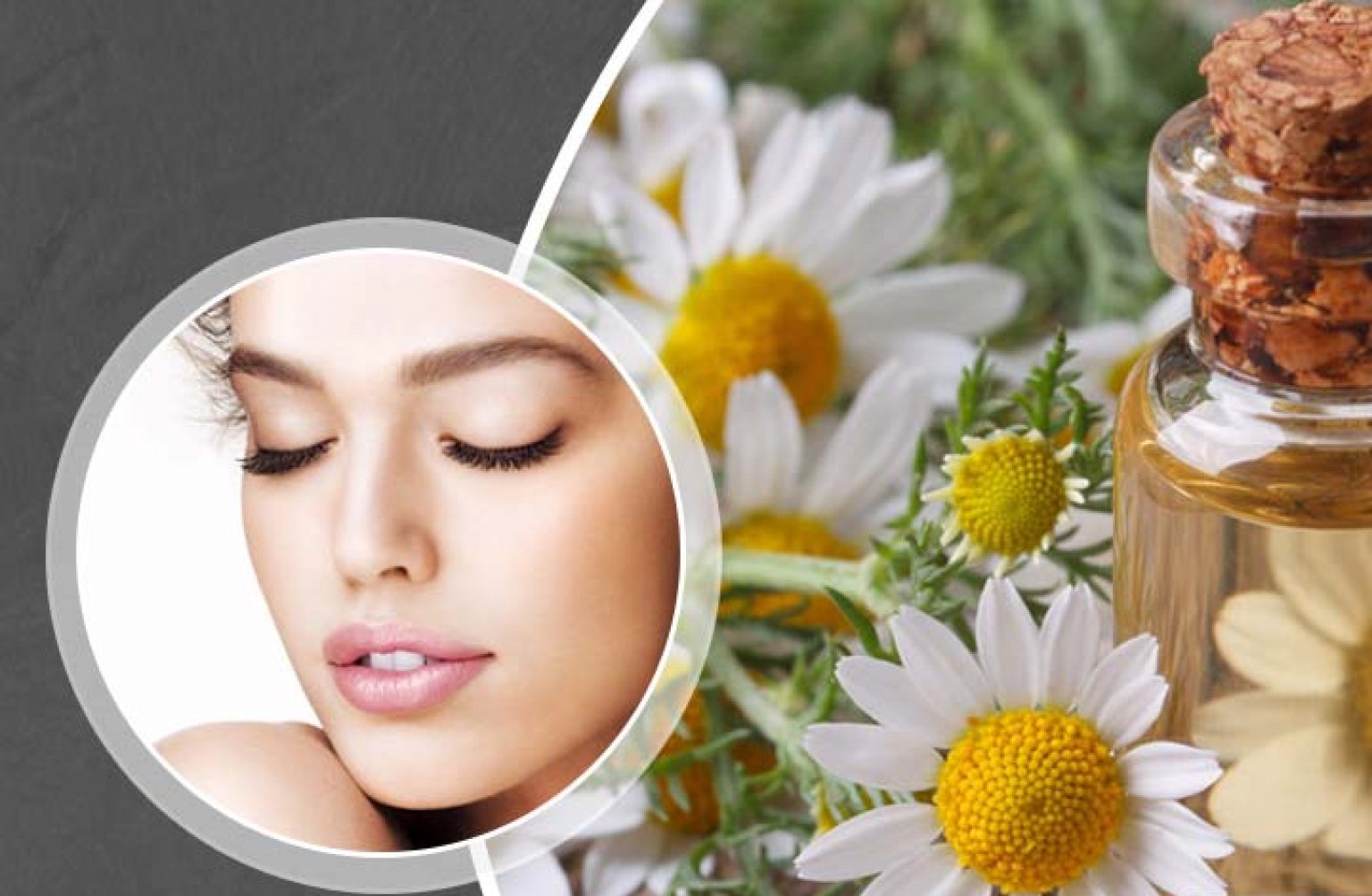 آشنایی با خواص بابونه برای پوست و روش استفاده از آن - ستاره