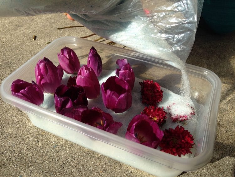 استفاده از سلیکا ژل برای خشک کردن گل