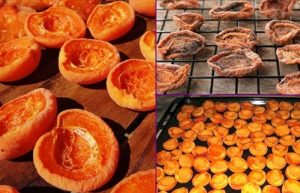 طرز تهیه برگه زردآلو