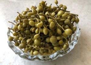 ترشی بنه