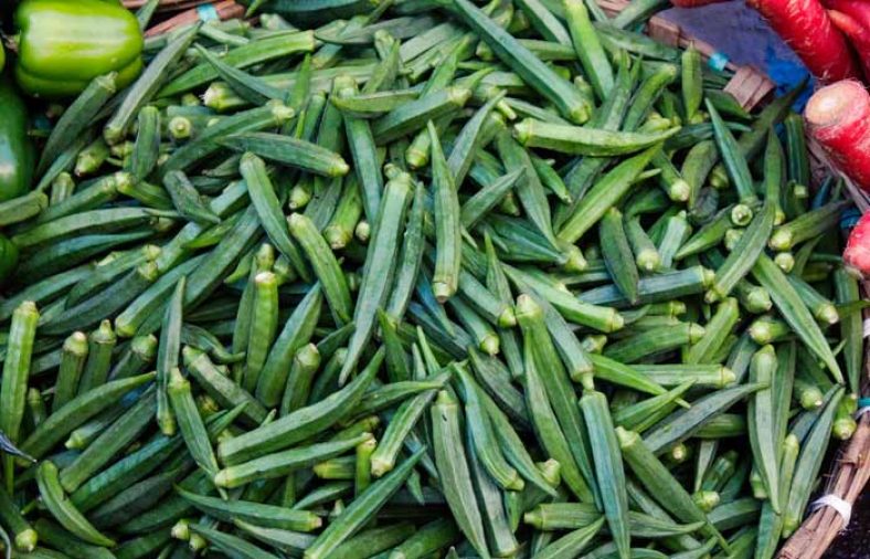 خواص بامیه