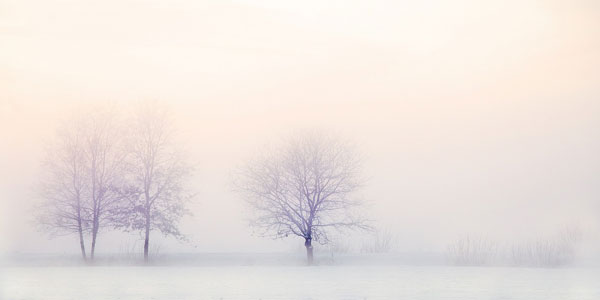 طبیعت برفی و مه آلود