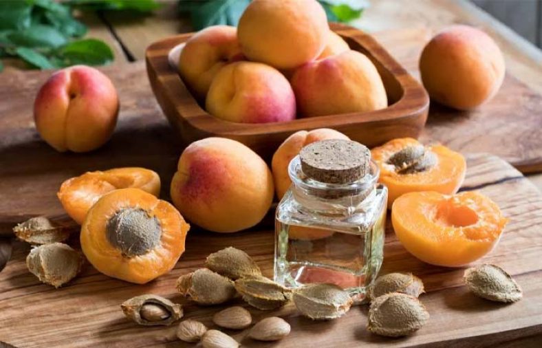 هسته زردآلو بخوریم یا نه