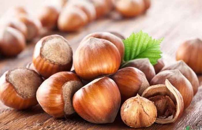 کالری فندق