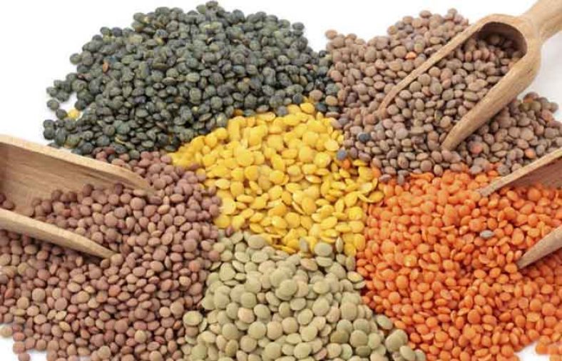 کالری عدس
