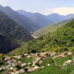 جنگل دالخانی
