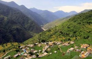 جنگل دالخانی