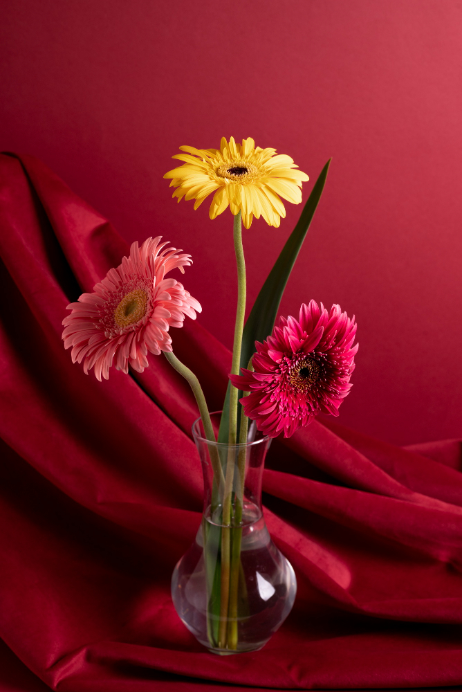 عکس گل در گلدان 