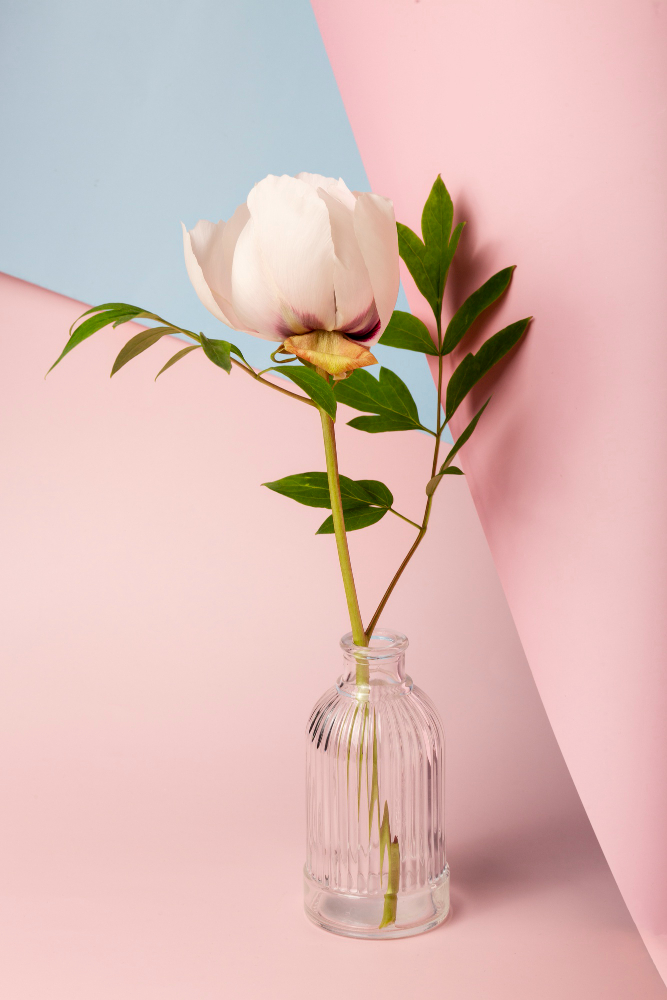 عکس گل در گلدان زیبا