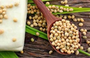 خوردن سویا در بارداری