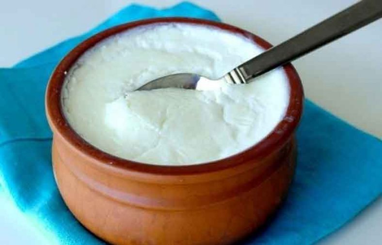 روش نگهداری ماست