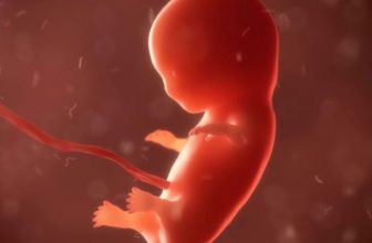 سقط جنین با زعفران