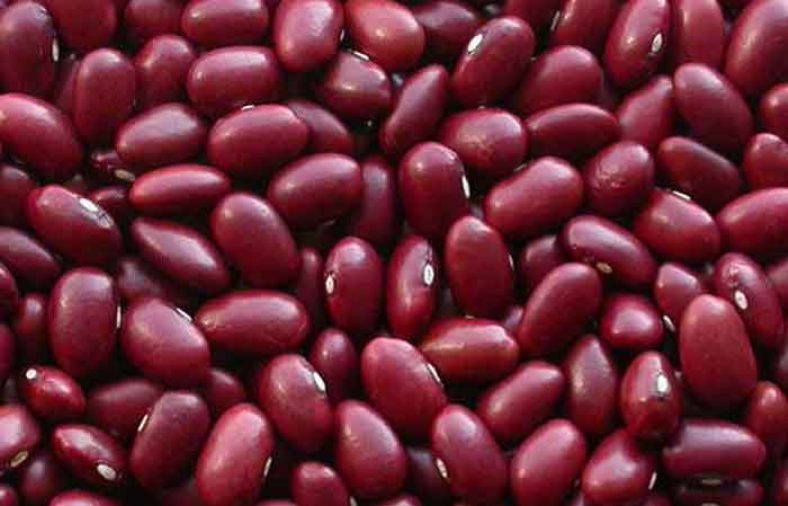 خواص لوبیا قرمز