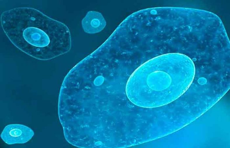 اسهال آمیبی