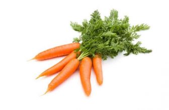 هویج خام بهتر است یا پخته
