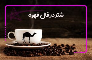 شتر در فال قهوه