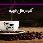 گاو در فال قهوه