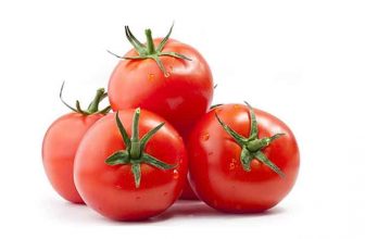 مصرف گوجه خام بهتر است یا پخته
