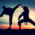 تفاوت بین کنگ فو و کاراته