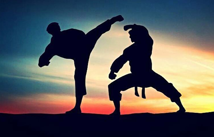 تفاوت بین کنگ فو و کاراته