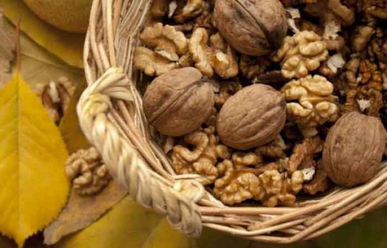 آلرژی به گردو