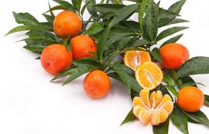 خواص نارنگی یافا