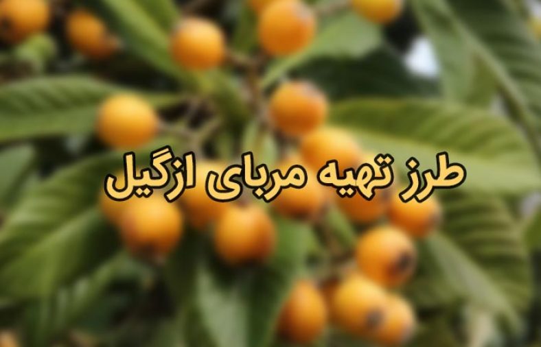 مربای ازگیل