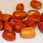 کالری سنجد