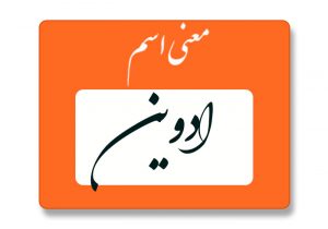 معنی اسم ادوین