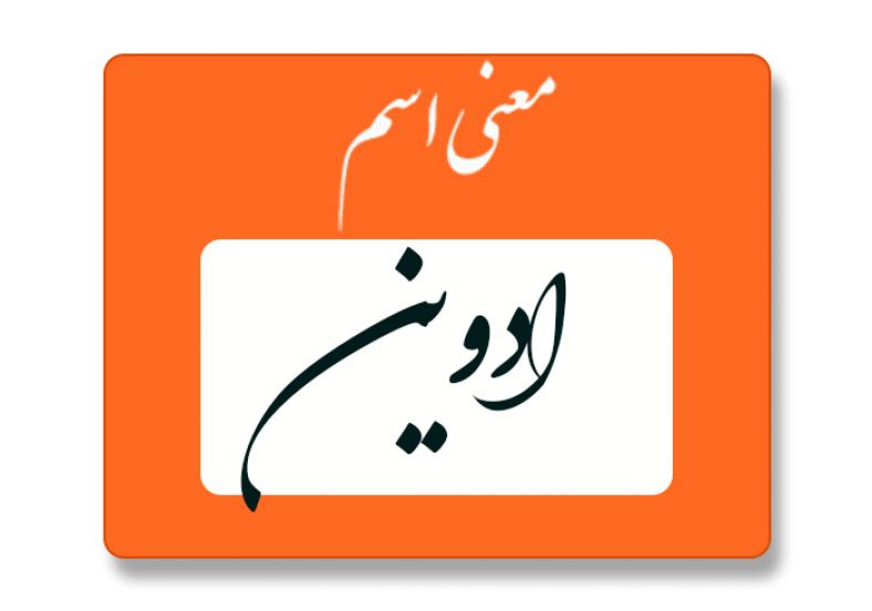 معنی اسم ادوین