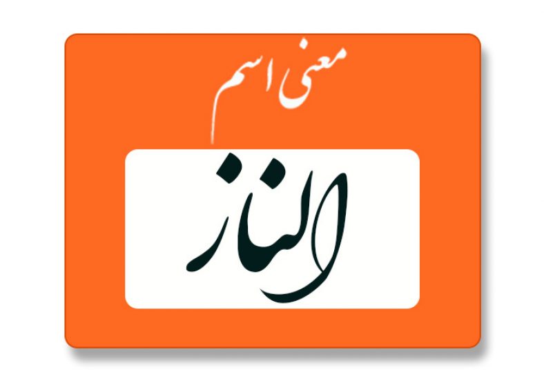 معنی اسم الناز