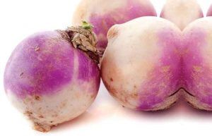 طبع شلغم