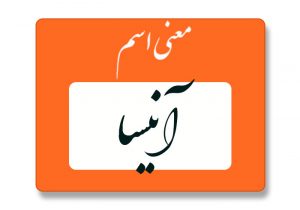 معنی اسم آنیسا