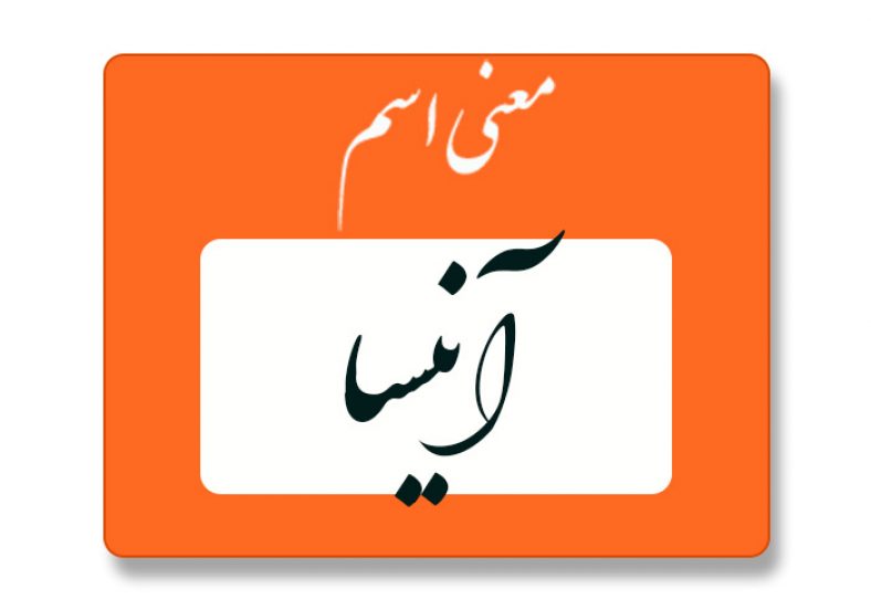 معنی اسم آنیسا
