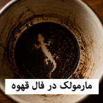 مارمولک در فال قهوه