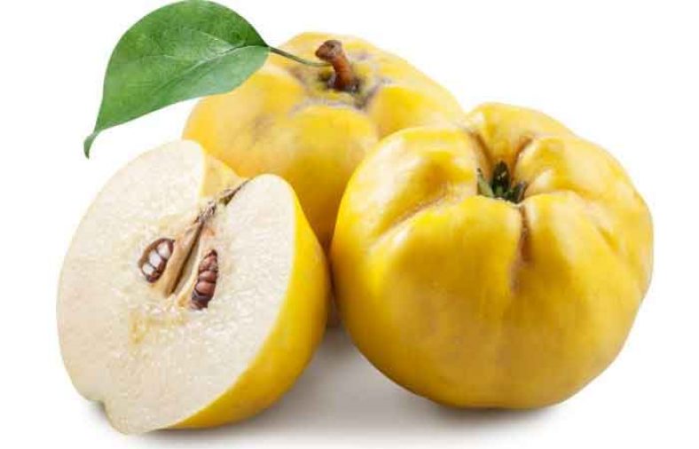 طبع به